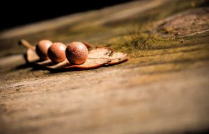 Picsum ID: 139 – R.U.N. Art Foundry