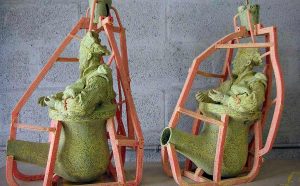 Máquina de Coser Virginidad