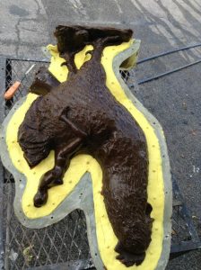 El Rescate de Mikaela