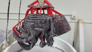 El Rescate de Mikaela